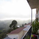 Foggy morning view from a balcony overlooking rooftops and trees.